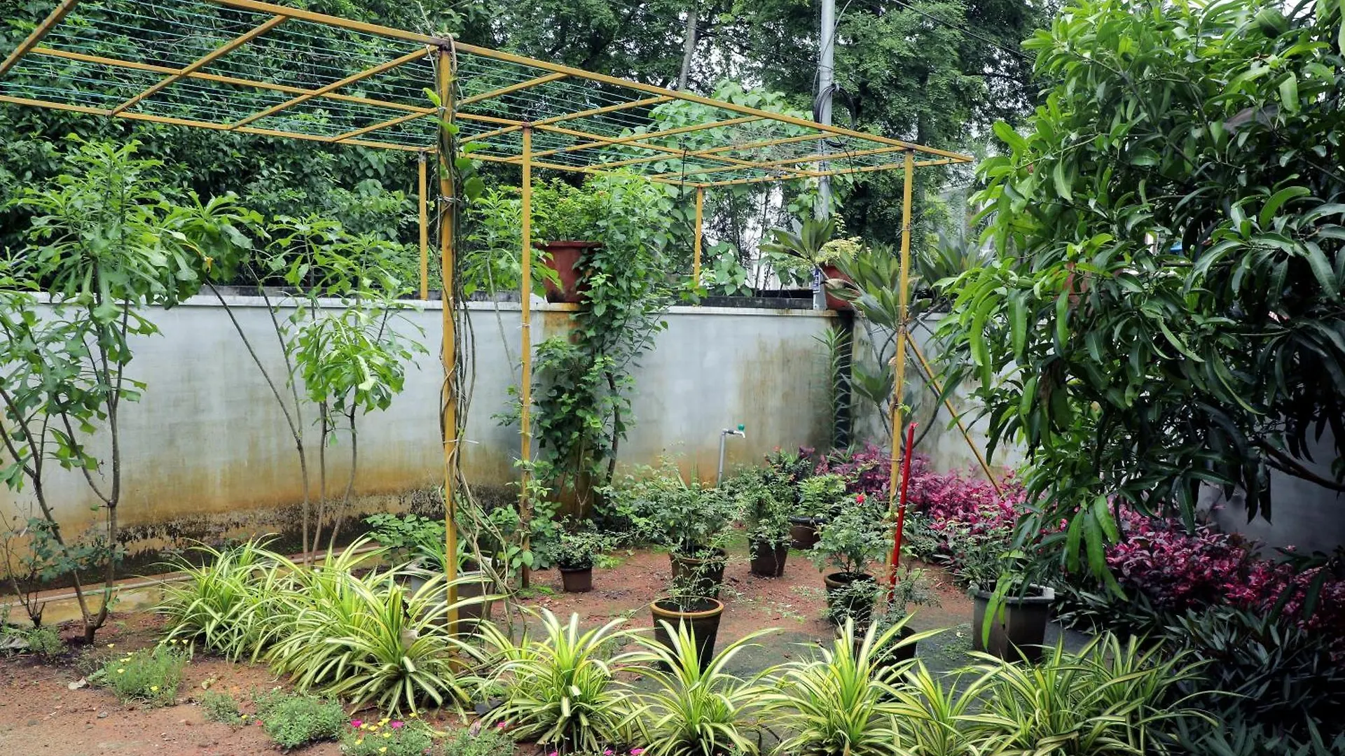 Bethel Homestay Thiruvallam Thiruvananthapuram 0*,  Ινδία